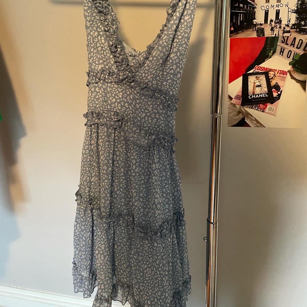 Blue Cheetah Dress